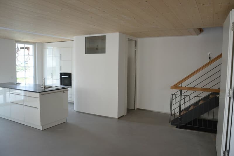 3-Generationen-Haus, 7-Zi.+2-Zi.+Garten. Edel, modern, chic restauriert, sehr hell, alles bio - oder: 7-Zi.-Wohnung und 2 Zi.-Büro/Au-pair-Wohnung (7)