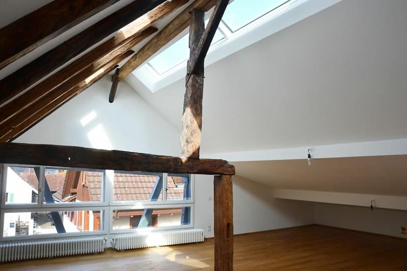 3-Generationen-Haus, 7-Zi.+2-Zi.+Garten. Edel, modern, chic restauriert, sehr hell, alles bio - oder: 7-Zi.-Wohnung und 2 Zi.-Büro/Au-pair-Wohnung (11)