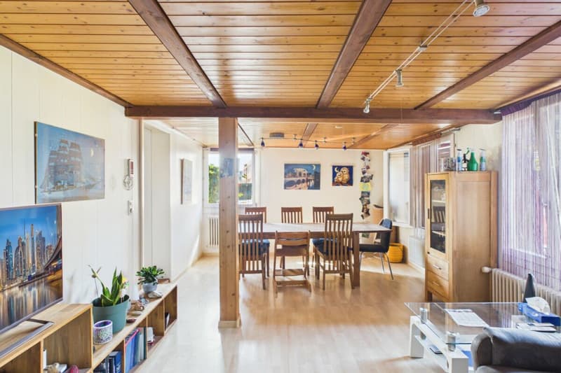Grosses Haus und viel Land mit Entwicklungspotenzial - 503 m² Nutzfläche | 671 m² Grundstück (9)
