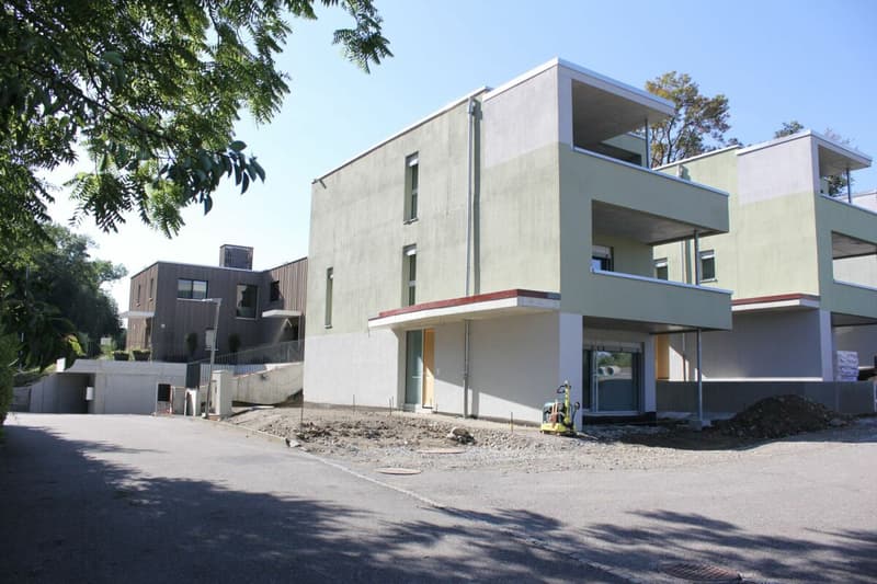 Exklusives 6.5-Zimmer-Einfamilienhaus Minergie-P-Qualität in Seengen (4)