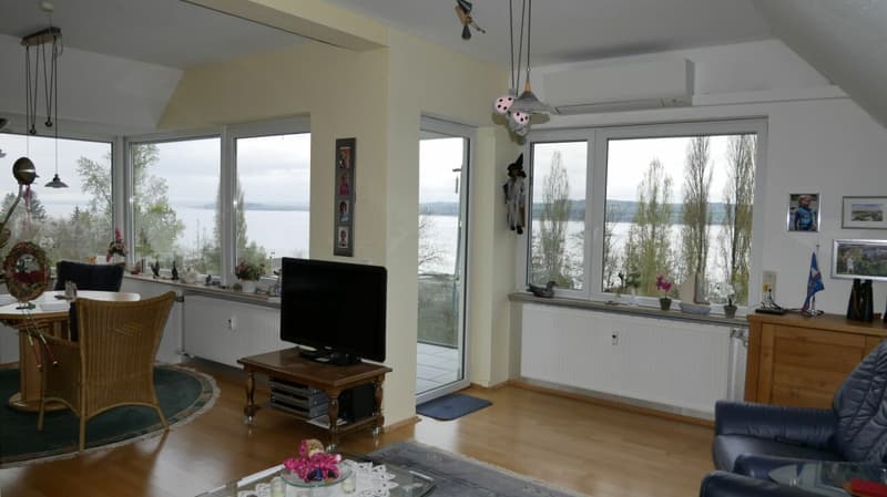 Seesichtlage in Überlingen 200 Meter zum Hafen-Ost (8)