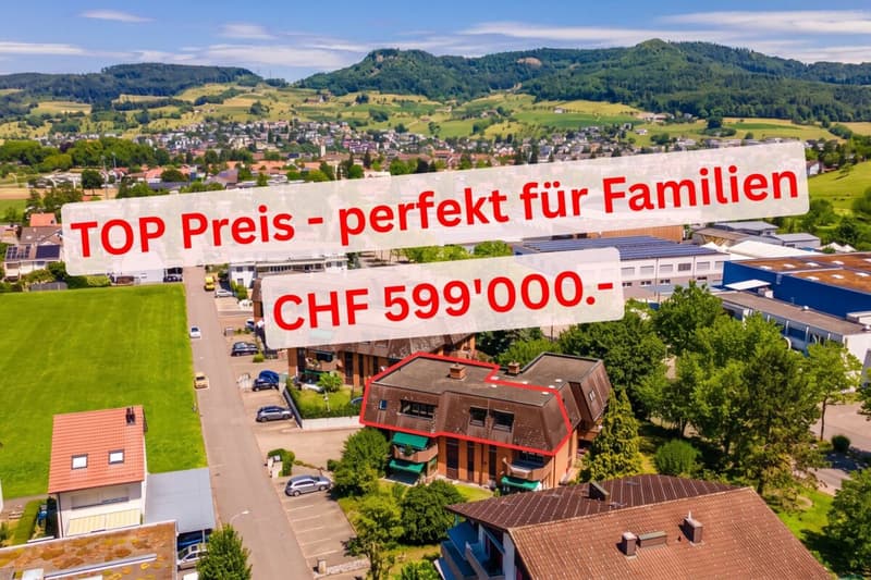 TOP Preis - sehr grosse Wohnung direkt an der Grenze zu Sissach (1)
