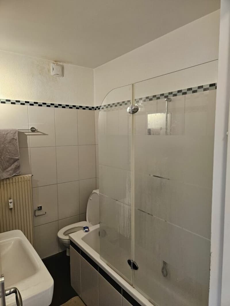 Gepflegte 4.5-Zimmer-Wohnung mit Balkon und schöner Aussicht in Liestal (10)