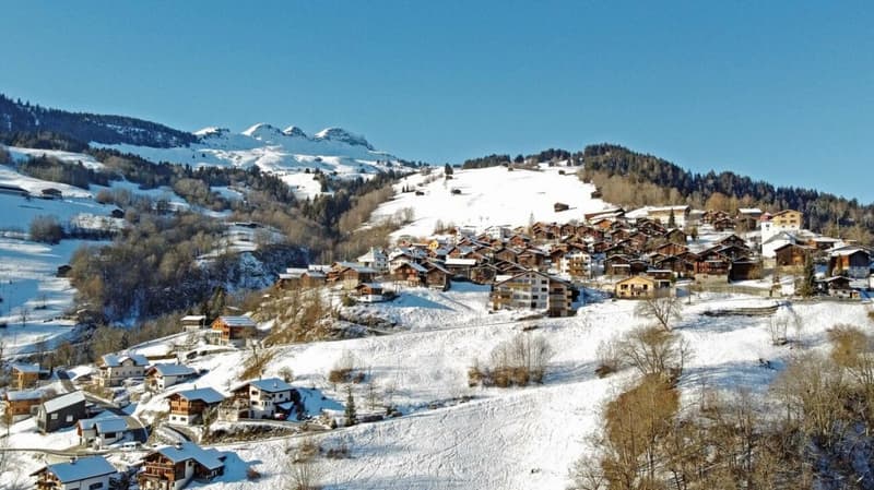 Sonniges Bauland mit Aussicht Platz für 2 Gebäude: Zwei Einfamilienhäuser oder ein grosszügiges Wohnbauprojekt (8)