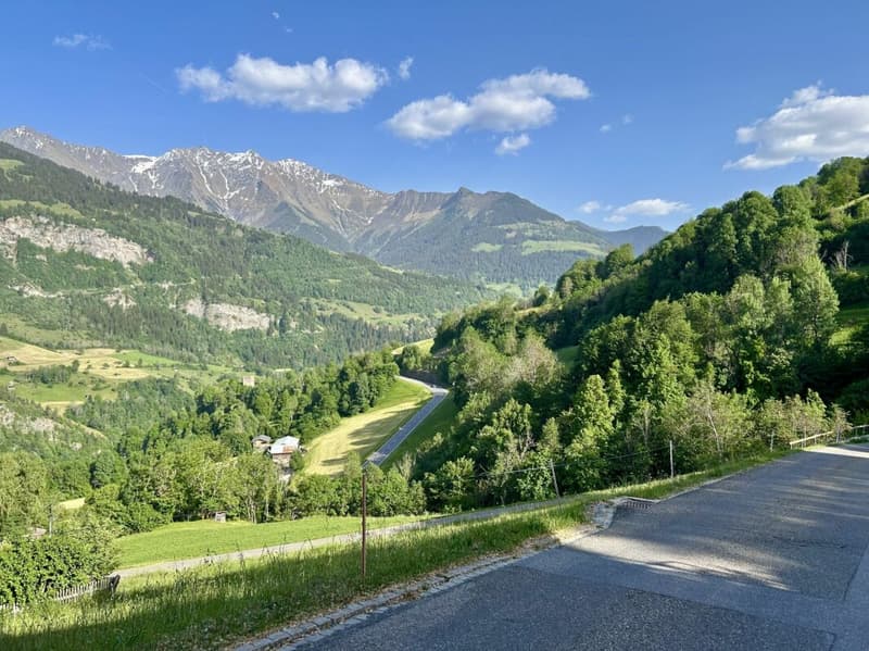 Sonniges Bauland mit Aussicht Platz für 2 Gebäude: Zwei Einfamilienhäuser oder ein grosszügiges Wohnbauprojekt (5)