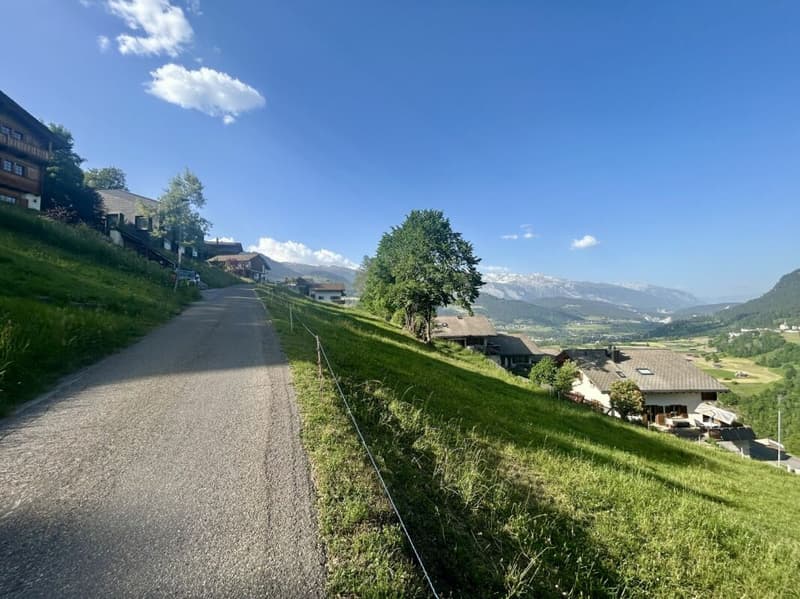 Sonniges Bauland mit Aussicht Platz für 2 Gebäude: Zwei Einfamilienhäuser oder ein grosszügiges Wohnbauprojekt (6)