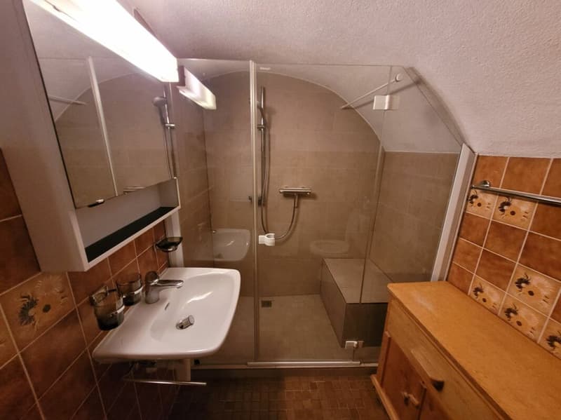 Wohnhaus mit Werkstatt und Stall in 7458 Mon (GR) (5)