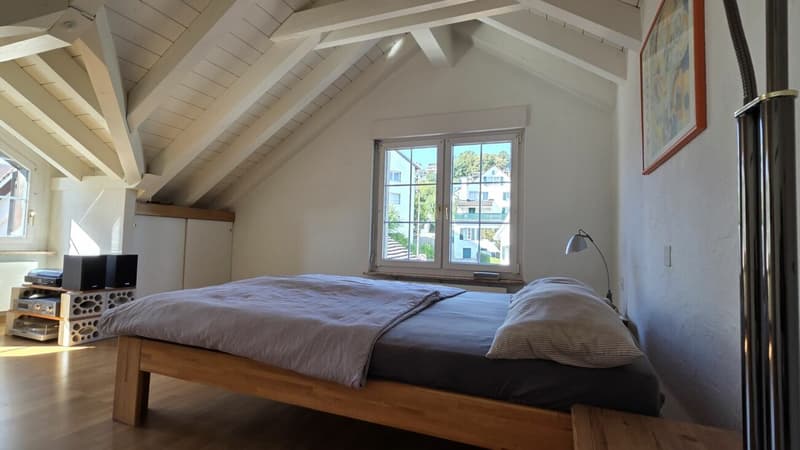 Attika-Wohnung mit See- und Bergsicht in Rüschlikon (9)