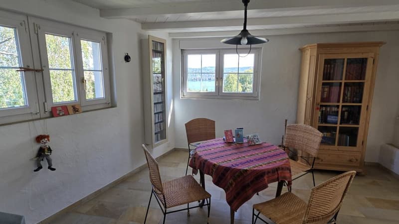 Attika-Wohnung mit See- und Bergsicht in Rüschlikon (7)
