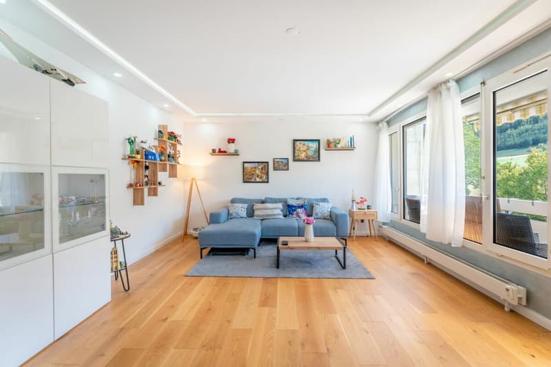 Schön renovierte 3.5 Zimmer Wohnung - ideal für Singles, Paare & Pendler (2)