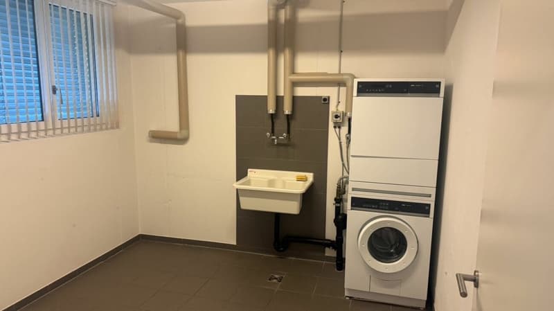 Exklusives 5.5-Zimmer Einfamilienhaus an erhöhter Lage mit Weitsicht (4)