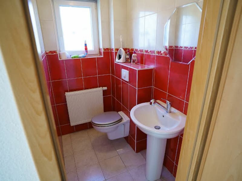 Praktisches Haus in Frankreich, 35 min bis Basel,25 min bis zur deutschen Grenze (6)