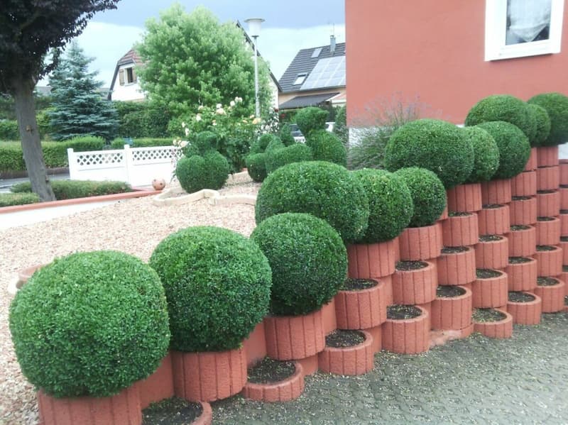 Attraktives freistehendes Einfamilienhaus mit Swimmingpool und gepflegtem Garten in angenehmer Wohnlage (5)