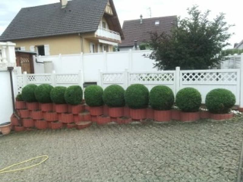 Attraktives freistehendes Einfamilienhaus mit Swimmingpool und gepflegtem Garten in angenehmer Wohnlage (6)