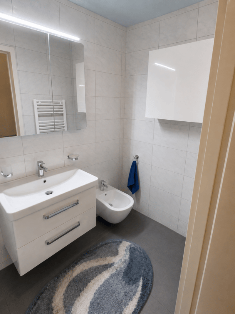 Helle und ruhige Wohnung - Linden-Quartier in Biel (8)