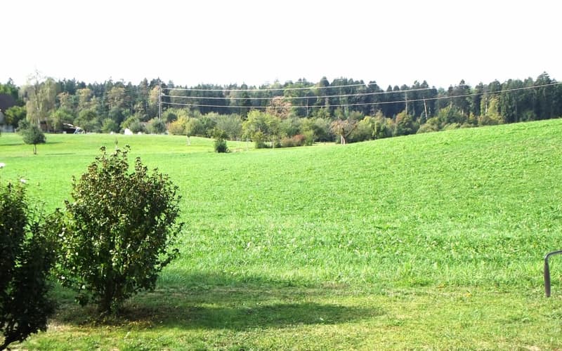 Naturnahe Gartenwohnung (3)