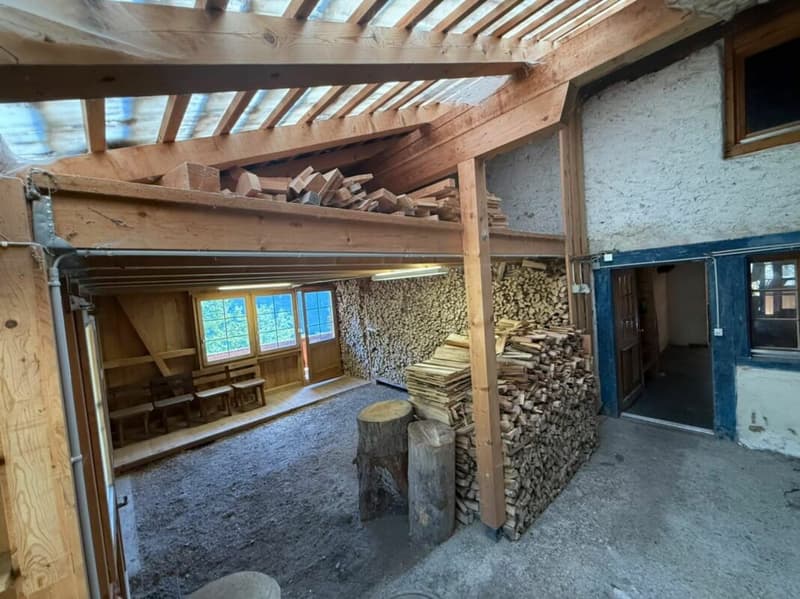 Einmalige Gelegenheit in Lauterbrunnen - Landwirtschaftliche Liegenschaft mit Wohnhaus, Scheune und drei weiteren Grundstücken (7)