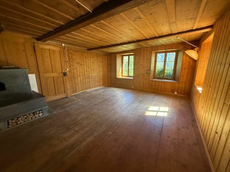Einmalige Gelegenheit in Lauterbrunnen - Landwirtschaftliche Liegenschaft mit Wohnhaus, Scheune und drei weiteren Grundstücken (9)
