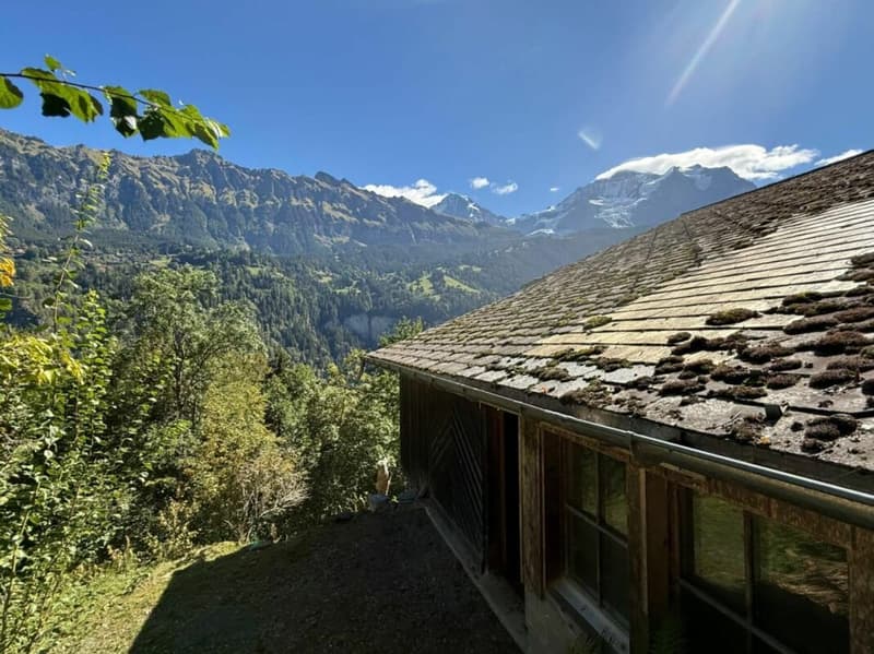 Einmalige Gelegenheit in Lauterbrunnen - Landwirtschaftliche Liegenschaft mit Wohnhaus, Scheune und drei weiteren Grundstücken (3)