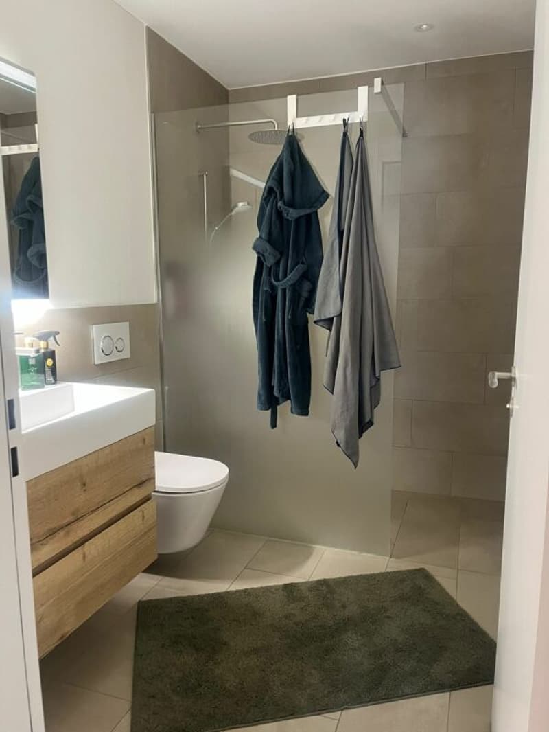 Hochwertig ausgebaute 3.5 Zimmer-Wohnung im gepflegten Parco Verde zu vermieten (8)
