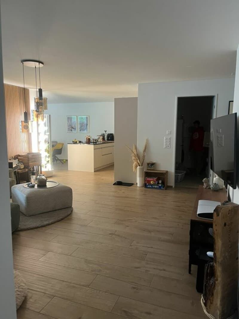 Hochwertig ausgebaute 3.5 Zimmer-Wohnung im gepflegten Parco Verde zu vermieten (4)