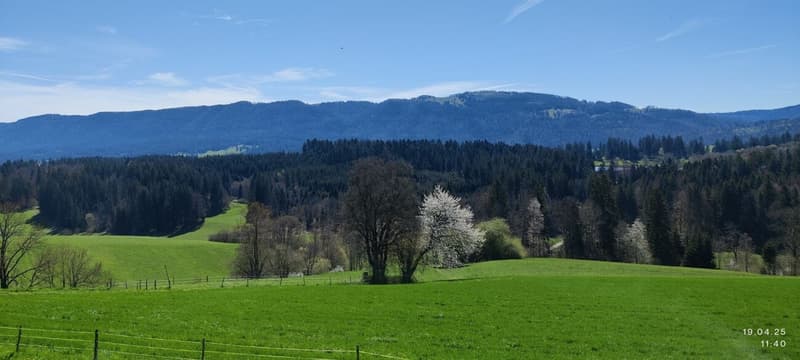 Charmantes Jurahaus mit drei Wohnungen, Ausbaupotenzial und Baulandreserve (3)
