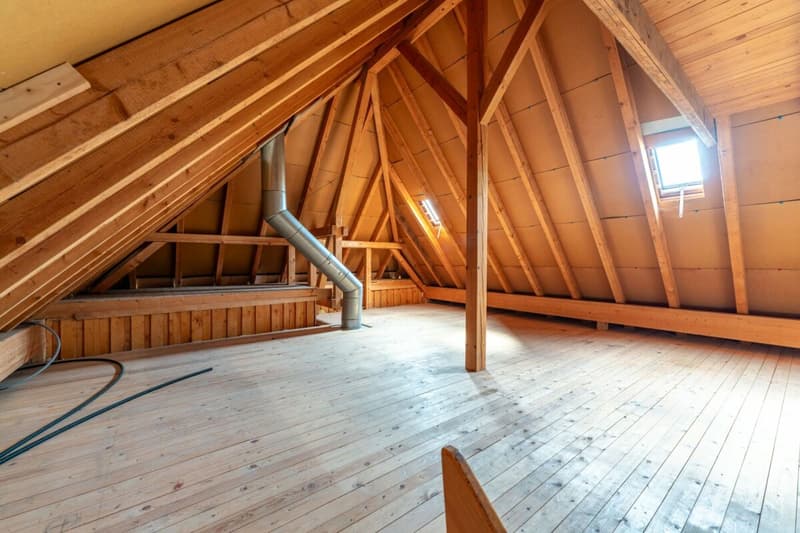 Grosses Haus | renoviert | viel Garten | 3 Garagenboxen | Büro | Werkstatt | Partyraum | 66 m² Dachstock im Edelrohbau | Einlegerwohnung möglich (15)