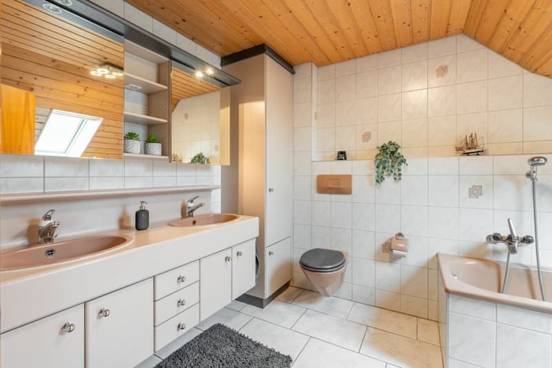 Grosses Haus | renoviert | viel Garten | 3 Garagenboxen | Büro | Werkstatt | Partyraum | 66 m² Dachstock im Edelrohbau | Einlegerwohnung möglich (9)