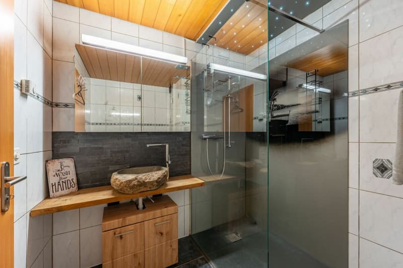 Grosses Haus | renoviert | viel Garten | 3 Garagenboxen | Büro | Werkstatt | Partyraum | 66 m² Dachstock im Edelrohbau | Einlegerwohnung möglich (6)