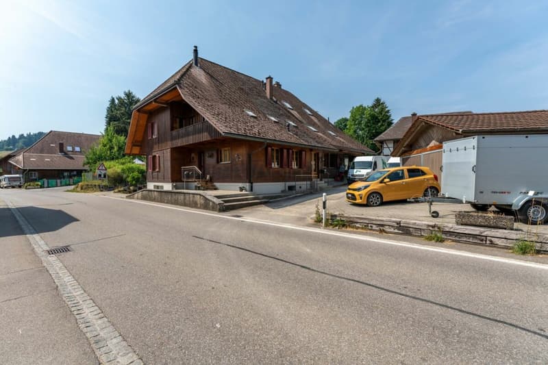 Grosses Haus | renoviert | viel Garten | 3 Garagenboxen | Büro | Werkstatt | Partyraum | 66 m² Dachstock im Edelrohbau | Einlegerwohnung möglich (16)
