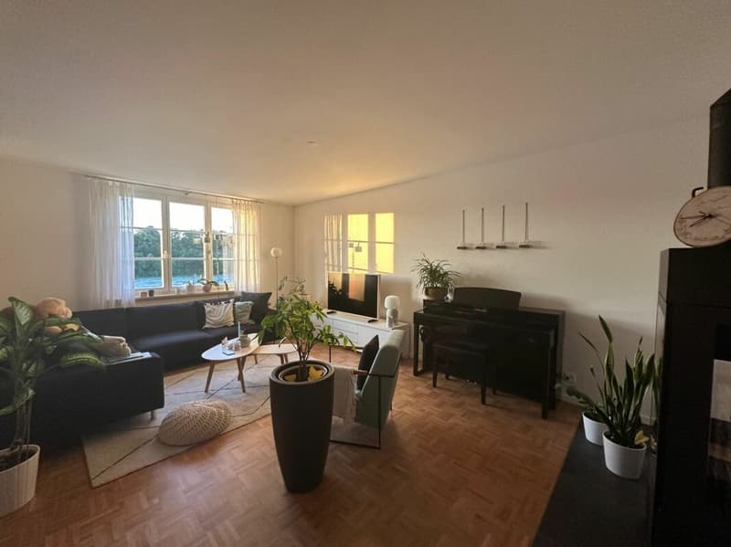 3 1/2-Wohnung an aussergewöhnlicher Lage in der Altstadt Rheinfelden - Rheinblick (2)