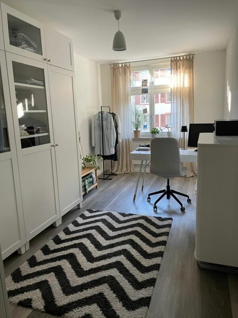 3 1/2-Wohnung an aussergewöhnlicher Lage in der Altstadt Rheinfelden - Rheinblick (10)