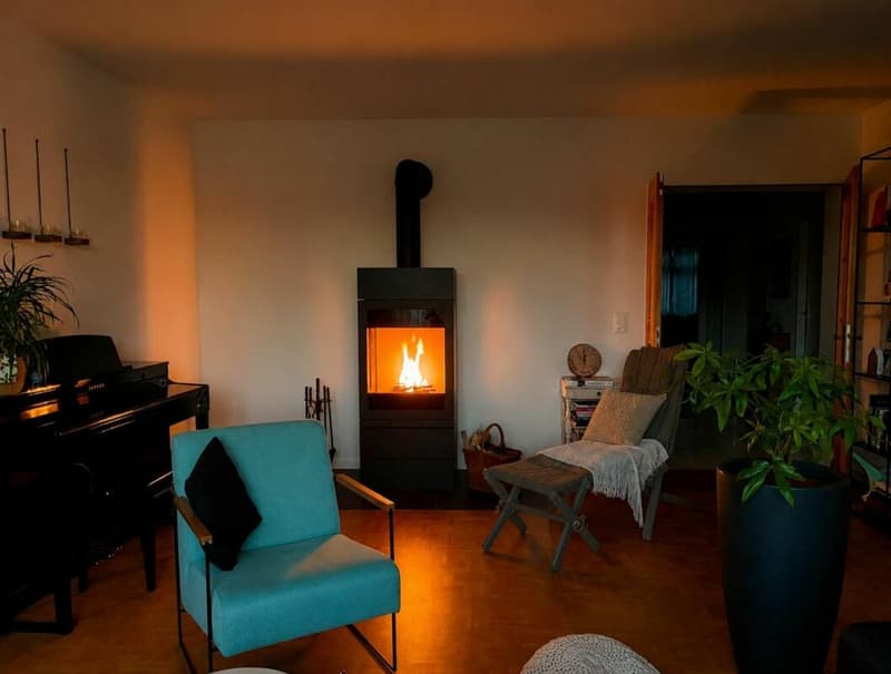 3 1/2-Wohnung an aussergewöhnlicher Lage in der Altstadt Rheinfelden - Rheinblick (5)