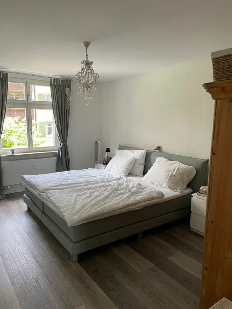 3 1/2-Wohnung an aussergewöhnlicher Lage in der Altstadt Rheinfelden - Rheinblick (11)