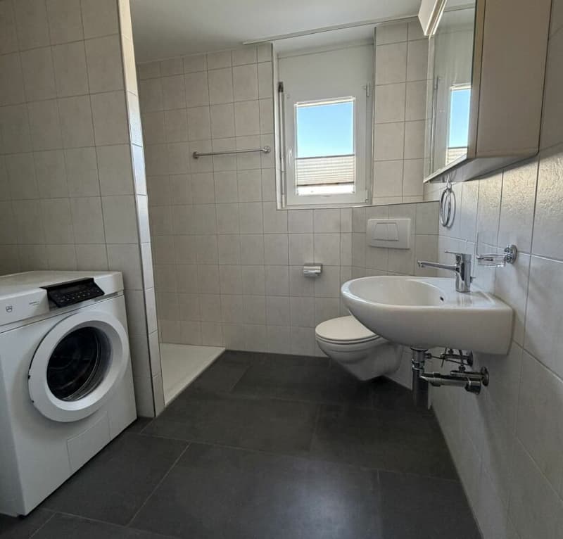 5.5-Zimmer Attika-Wohnung im Zentrum und doch an ruhiger Lage und mit viel Privatsphäre 126 m2 Nettowohnfläche, mehr als 100 m2 Terrasse (10)
