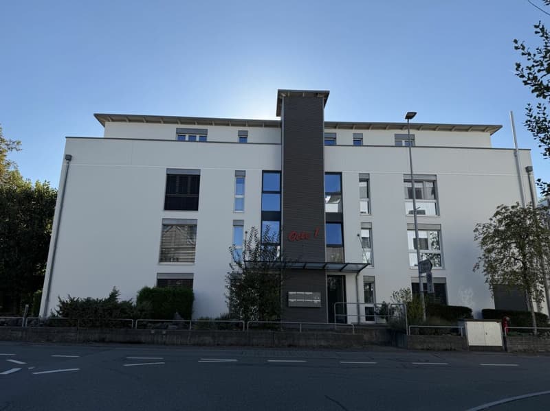 5.5-Zimmer Attika-Wohnung im Zentrum und doch an ruhiger Lage und mit viel Privatsphäre 126 m2 Nettowohnfläche, mehr als 100 m2 Terrasse (12)