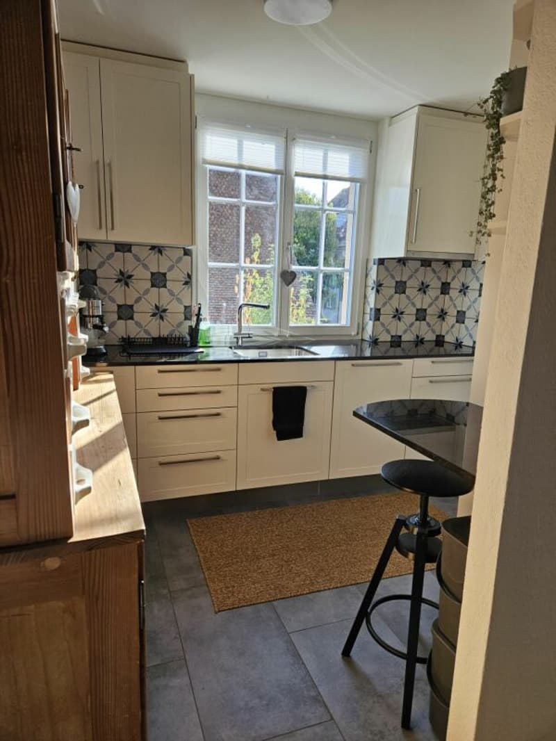 3½-Zimmer-Wohnung mit 3 Balkonen an exklusiver Lage in der Altstadt (6)