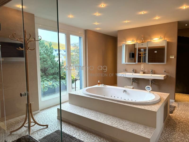 Exklusive 5.5-Zimmer-Wohnung mit 300 m² Terrasse in Döttingen - Raum, Komfort und Stil auf höchstem Niveau (3)