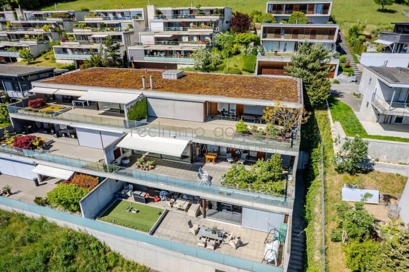 Exklusive 4.5-Zimmer-Terrassenwohnung mit Panorama-Aussicht in Biberstein (4)