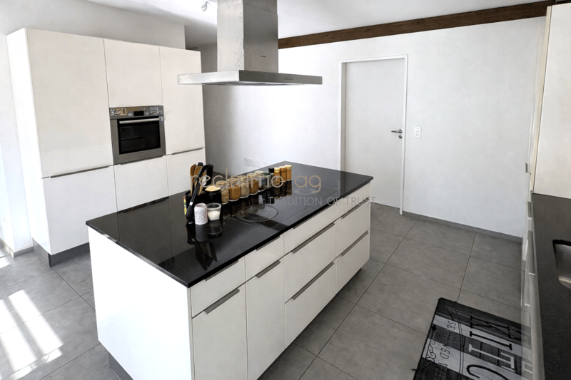 Modern 4.5-Room Penthouse Apartment with Panoramic Views (4)