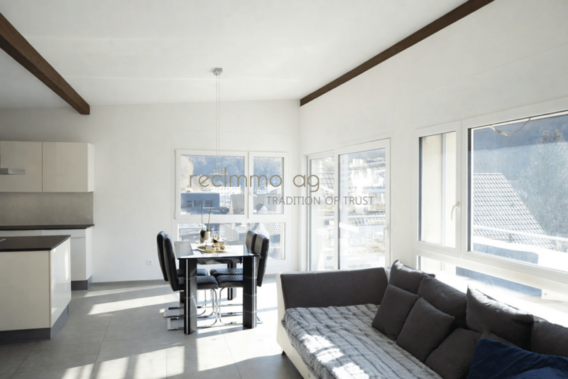 Modern 4.5-Room Penthouse Apartment with Panoramic Views (2)