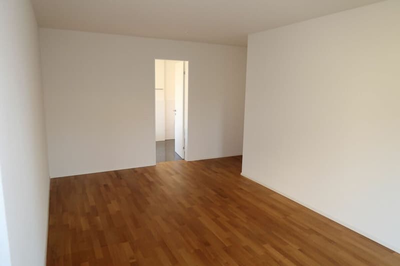 Exklusive 5.5-Zimmer-Gartenwohnung mit hochwertigem Ausbaustandard in Einsiedeln (4)