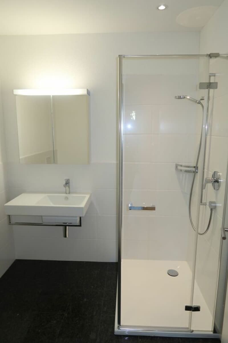 Exklusive 5.5-Zimmer-Gartenwohnung mit hochwertigem Ausbaustandard in Einsiedeln (6)