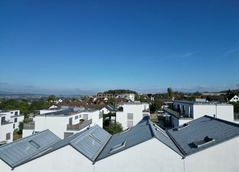 Grosszügiges 6.5-Zimmer-Familienhaus mit Garten in Obfelden (9)