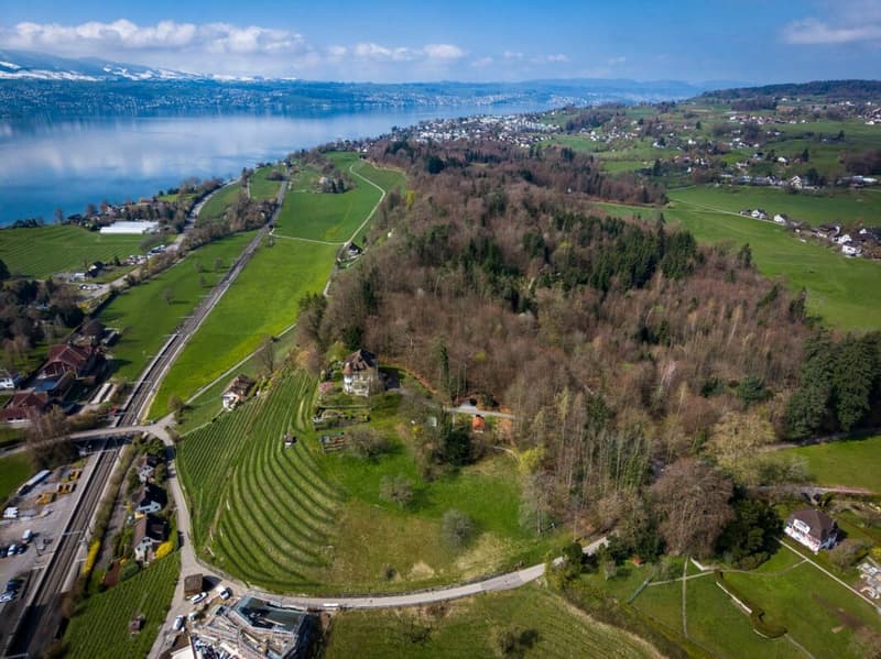 Exklusive Maisonette-Residenz - befristet auf 3 Jahre (1)