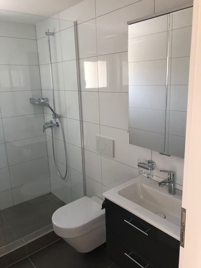 Im Zentrum, Renovierte 3-Zimmer-Wohnung mit 2 Balkone (4)