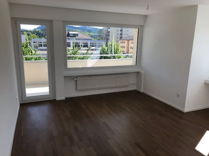 Im Zentrum, Renovierte 3-Zimmer-Wohnung mit 2 Balkone (7)
