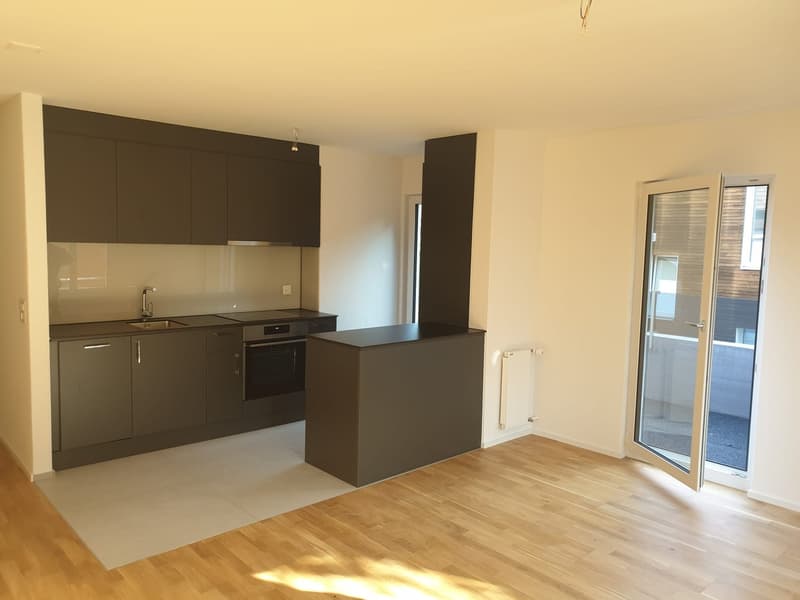 Helle und moderne 3 Zimmer-Wohnung mit Balkon in St. Gallen (1)