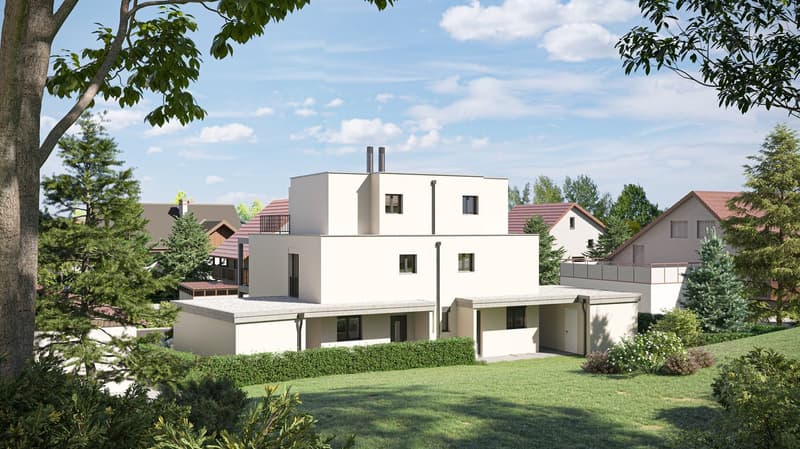 Neubau - Doppeleinfamilienhaus in Hausen AG - SÜD (2)