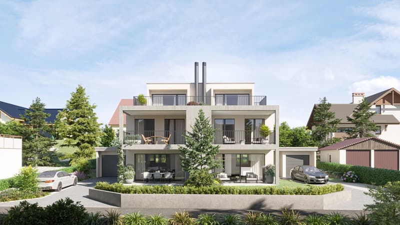 Neubau - Doppeleinfamilienhaus in Hausen AG - SÜD (1)
